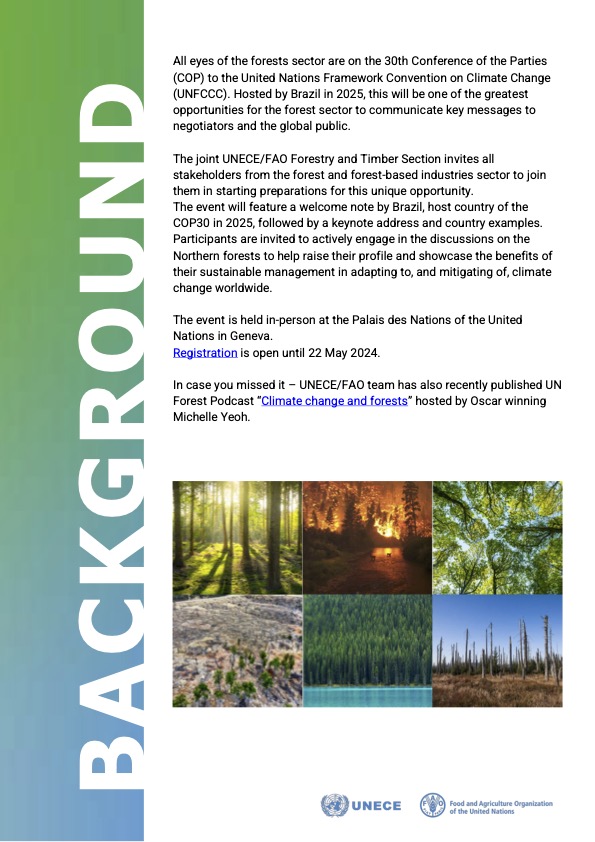 UNECEForests's tweet photo. Join us in Geneva on 23 May for an engaging discussion on the sustainable management of #Northernforests and their crucial role in addressing #climatechange 🌳🌲
Don't miss this important event ahead of #COP29 and #COP30🌍
Register today: https://t.co/NjN8OAiWcg https://t.co/yGbJtTg14j