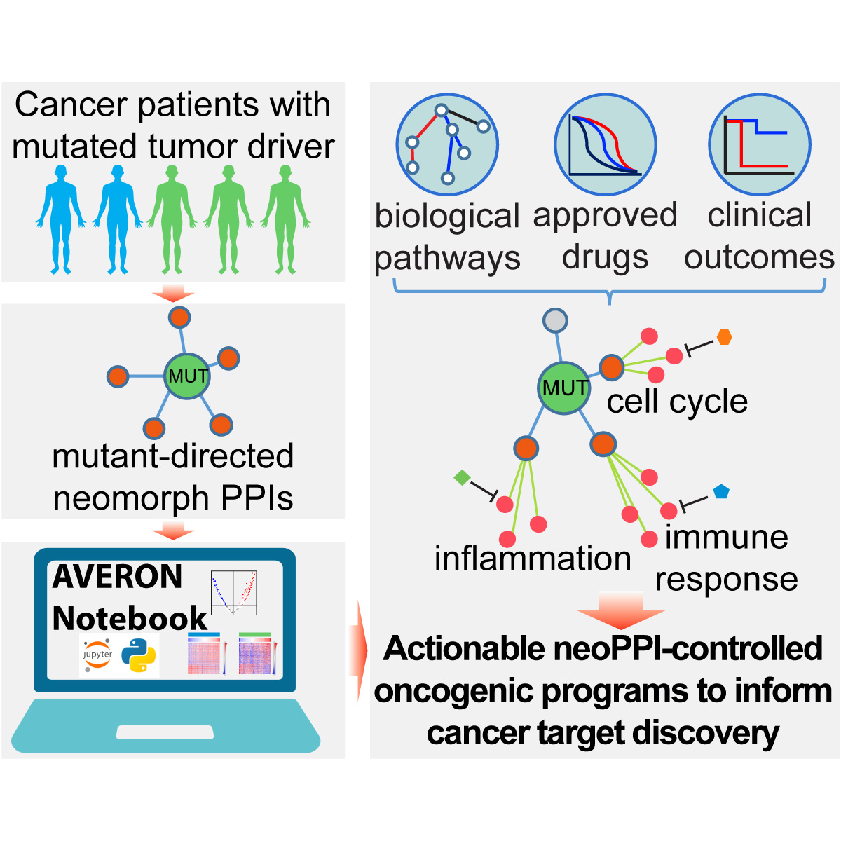 Andrey Ivanov (@2aivanov) on Twitter photo Our new paper is now out in <a href="/iScience_CP/">iScience journal</a>! We developed a new computational tool termed AVERON to discover actionable cancer vulnerabilities enabled by neomorph protein-protein interactions. cell.com/iscience/fullt… #NCIITCR <a href="/WinshipAtEmory/">Winship Cancer Institute of Emory University</a> <a href="/PharmChemBio/">Emory Pharmacology & Chemical Biology</a> <a href="/EmoryBDCI/">Biological Discovery through Chemical Innovation</a> Our new paper is now out in <a href="/iScience_CP/">iScience journal</a>! We developed a new computational tool termed AVERON to discover actionable cancer vulnerabilities enabled by neomorph protein-protein interactions. cell.com/iscience/fullt… #NCIITCR <a href="/WinshipAtEmory/">Winship Cancer Institute of Emory University</a> <a href="/PharmChemBio/">Emory Pharmacology & Chemical Biology</a> <a href="/EmoryBDCI/">Biological Discovery through Chemical Innovation</a>