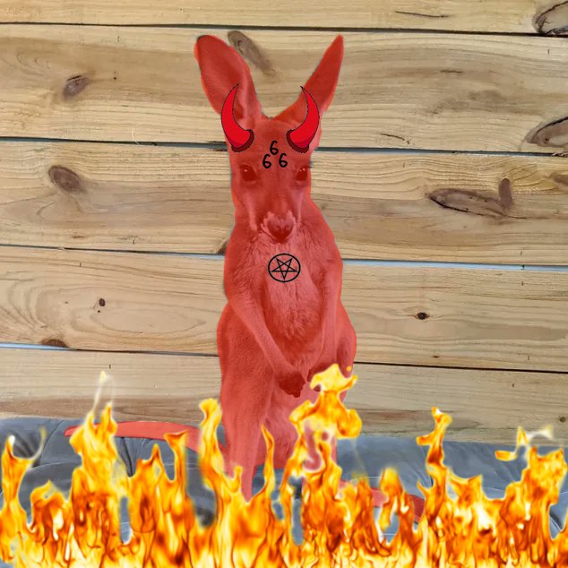 KangSolana's tweet photo. Avoid Hell Buy $Kang https://t.co/dimN0vBwVo