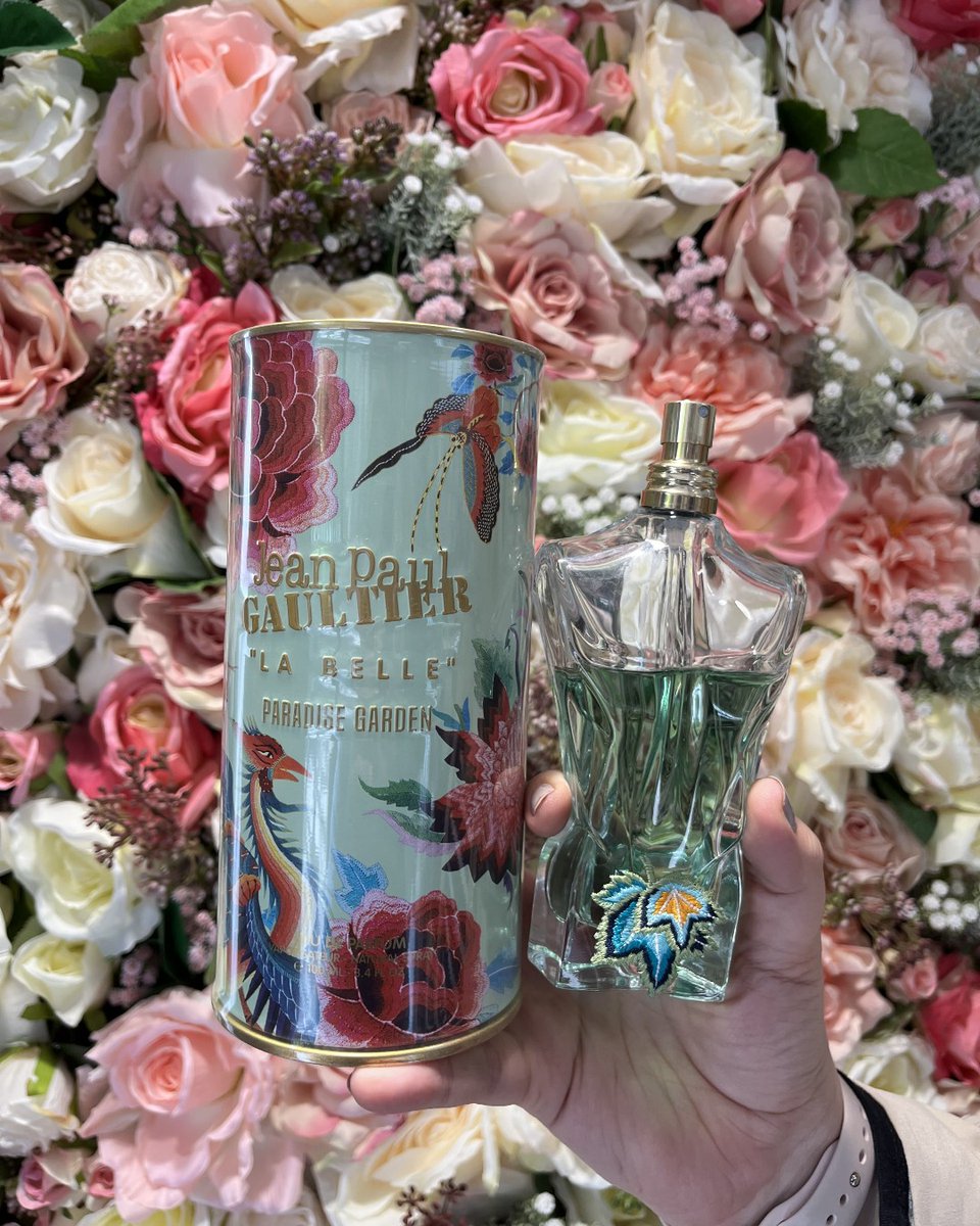 Lion Walk tweet media