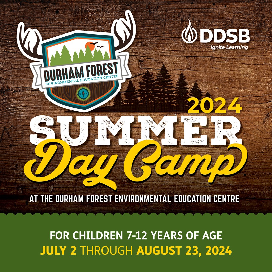 Join DDSB for a summer of fun, learning, &amp; adventure! 🌲

Durham Forest Summer Day Camp is for children ages 7-12.

Each week, camp will feature outdoor and experiential learning activities.

July 2 - August 23: Mon to Fri, 9 A.M. to 4 P.M.
Register: bit.ly/45zOIbS