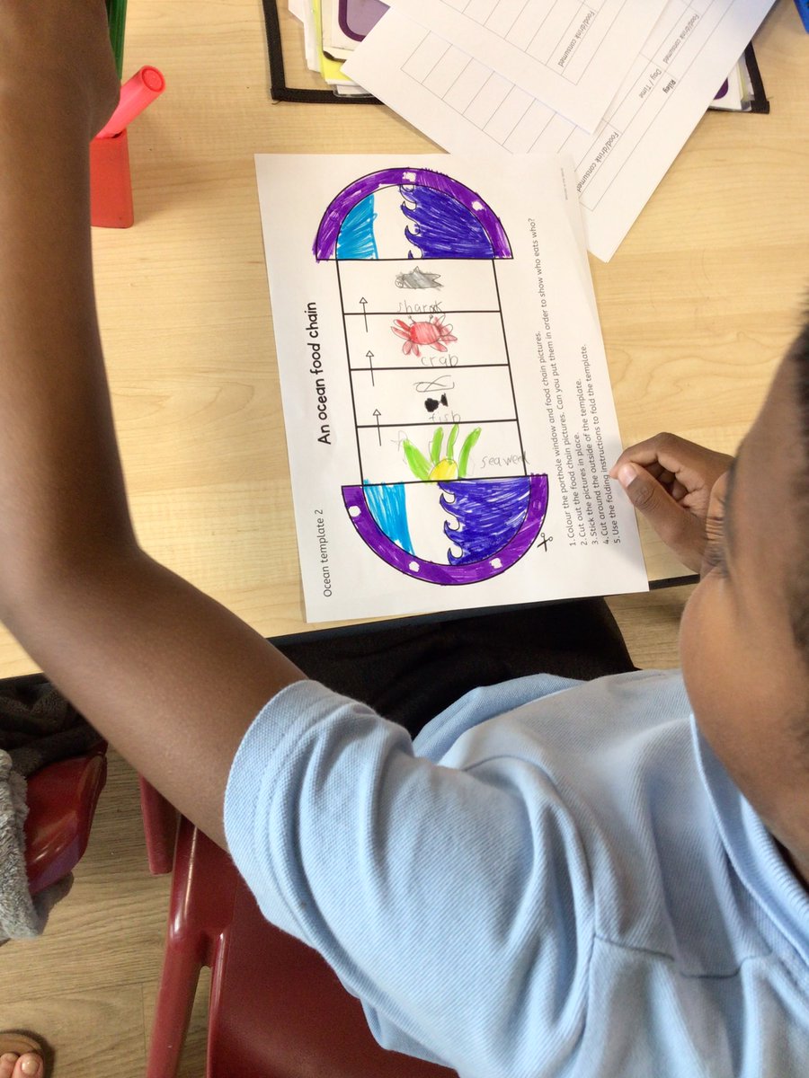 BramblesBeech tweet media