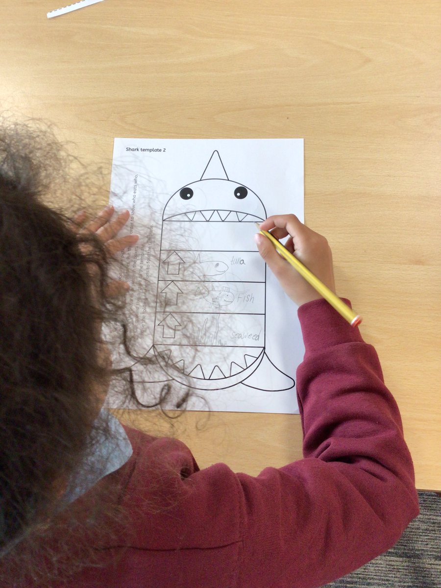 BramblesBeech tweet media