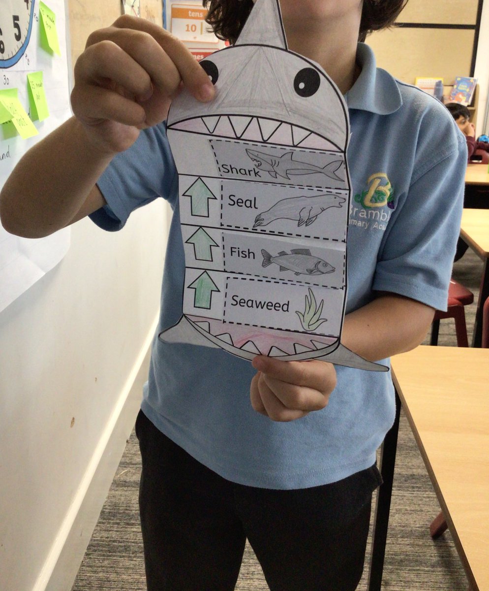 BramblesBeech tweet media