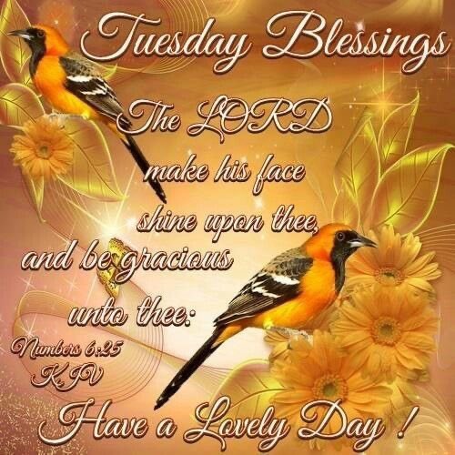 Tuesday Blessings #WVHP #TuesdayChooseday #TuesdayMotivations #TuesdayBlessings #TuesdayBlessing