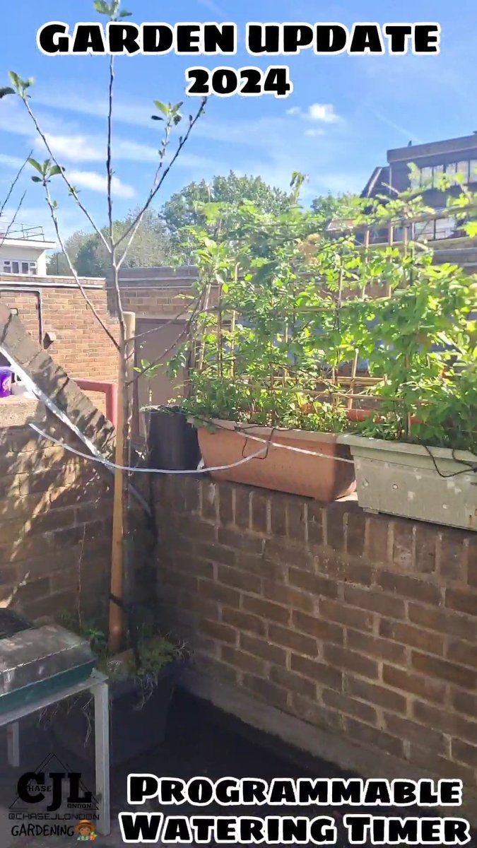 GARDEN UPDATE 2024 / PROGRAMMABLE WATERING TIMER 

GIVING YOU A UPDATE OM MY NEW PROGRAMMABLE WATERING TIMER

youtube.com/shorts/phP2-Hw…

#London #Gardeners #NewVideoAlert #gardendesign #gardeners #gardeningfun #ContentCreator #Content #gardener #mygarden #Blackgardener #gardening