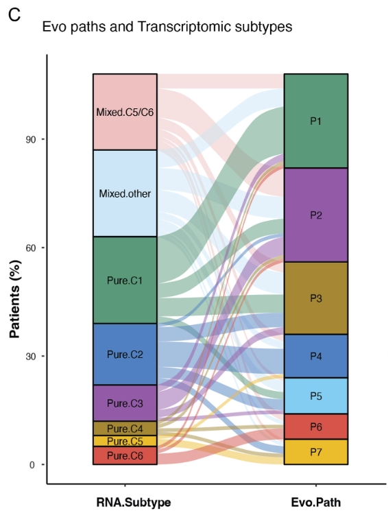 Bright_88's tweet photo. we connected genomic variations to transcriptomic phenotypes and patient prognosis. Our findings reveal several converged genomic evolutionary paths taken by early HCC, which are linked to specific phenotypes observed later at the time of surgery. https://t.co/dFY6FZ0ibY