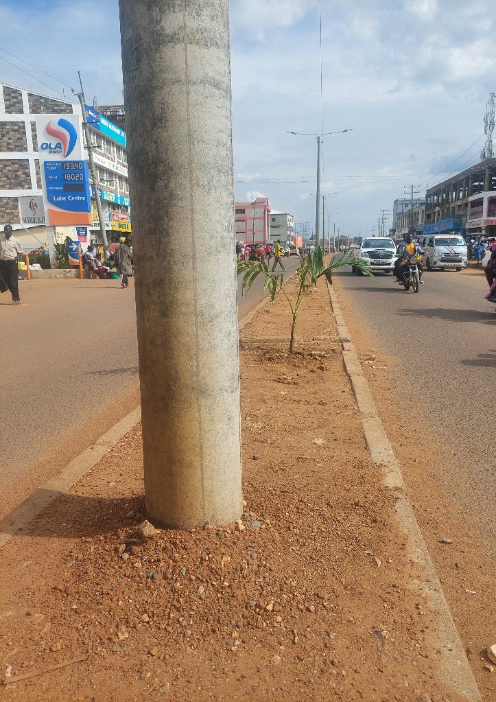 BUNGOMA beautification project for the preparation of 1st June Madaraka Day cost the Bungoma taxpayer KES 149 Million. — approved by the county assembly. Money that could have paid bursaries for the thousands of high school students at home due to school fees arrears.