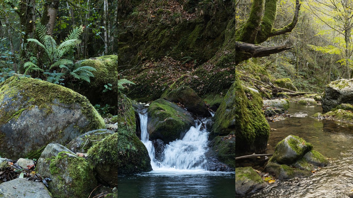 envirest_one's tweet photo. EP60 features photo references of overgrown forest rivers

Gumroad: https://t.co/5y38VOptqv
CubeBrush: https://t.co/plpN5vVKMe

50% OFF with a code: EP60_FIRST_WEEK until May, 28

#conceptart #mattepainting #references https://t.co/cMfyU5Q0JE