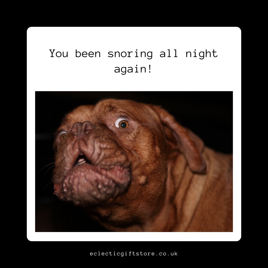 Is this how you feel in the morning? Check out our Sleep and Snore Stones, better sleep is here! 🤓🙊  Gets yours today!  #giftideas #GiftsMadeEasy #shopuk #UniqueGifts #ukmade #gifts #onlinegiftshop #goodsleep #menopause #snoring #perimenopause #sleepless #sleepmatters