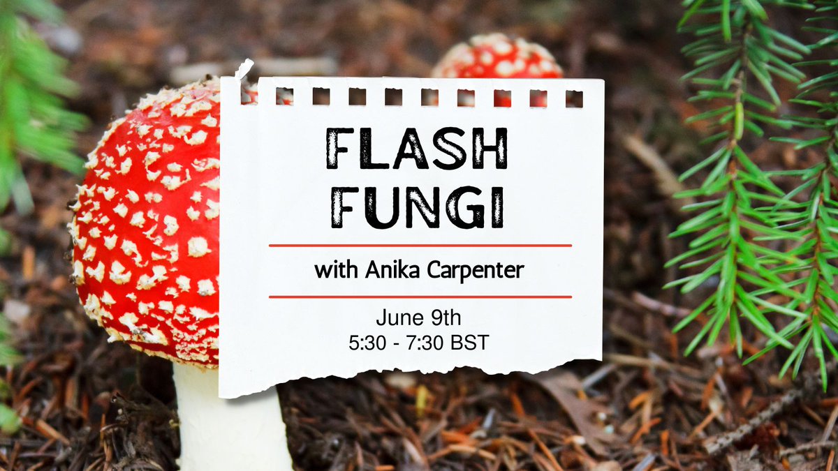 Our next weekend workshop is Flash Fungi with @StillSquirrel. Two hours of creating mitochondria micros inspired by the history, art & science of fungi. 🔗tickettailor.com/events/theflas…?