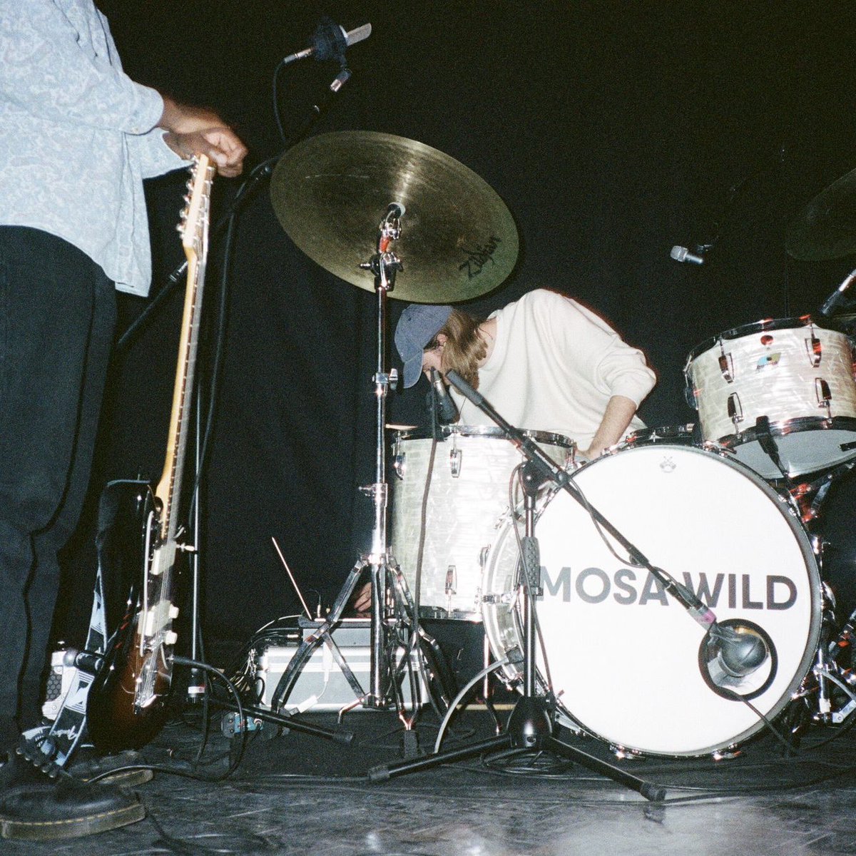 Mosa Wild tweet media