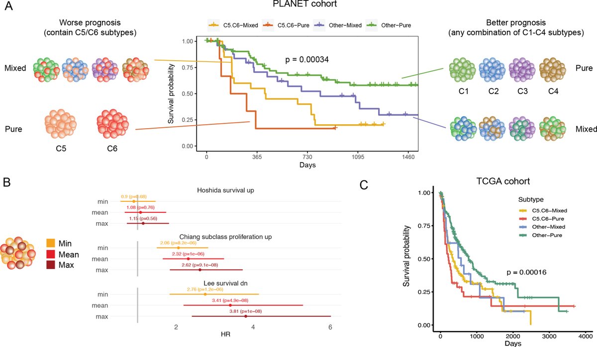 Bright_88's tweet photo. We also confirmed the 'bad apple' effect, a long-held suspicion that the most aggressive portion of the tumor significantly impacts patient outcomes. It underscores the importance of sampling more regions of heterogeneous tumors for more accurate prognosis prediction. https://t.co/flybv6WM6o