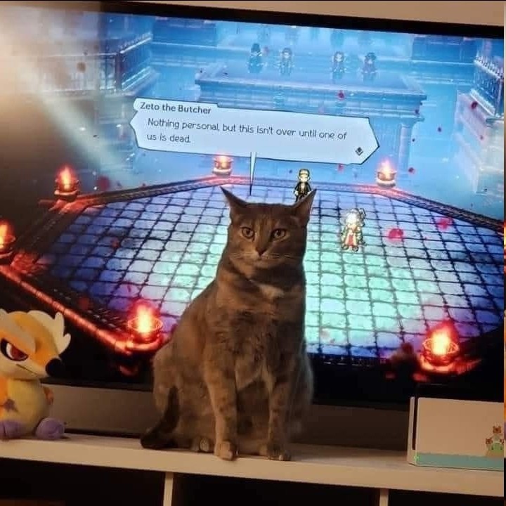 Punch Cat (@punchingcat) on Twitter photo 