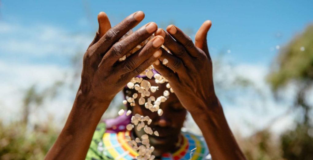 _Benjee256's tweet photo. Food insecurity and malnutrition are interlinked with poverty and inequality creating a vicious cycle, and an integrated approach is needed to tackle these issues. THREAD 🙏
@USAID
#USAIDGraduationApproach https://t.co/UN62ms0EWo