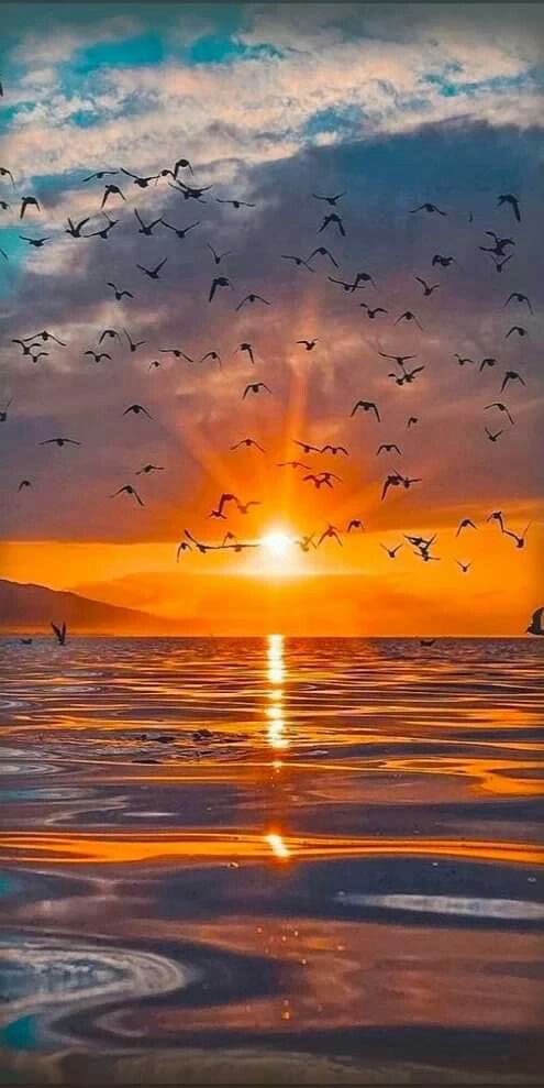Knowing your flying the highest heights, shining bright like the early morning sun, gives me peace & happiness within my soul. Good morning beautiful souls 🌄🕊️ #InMyHeartLouna ✨