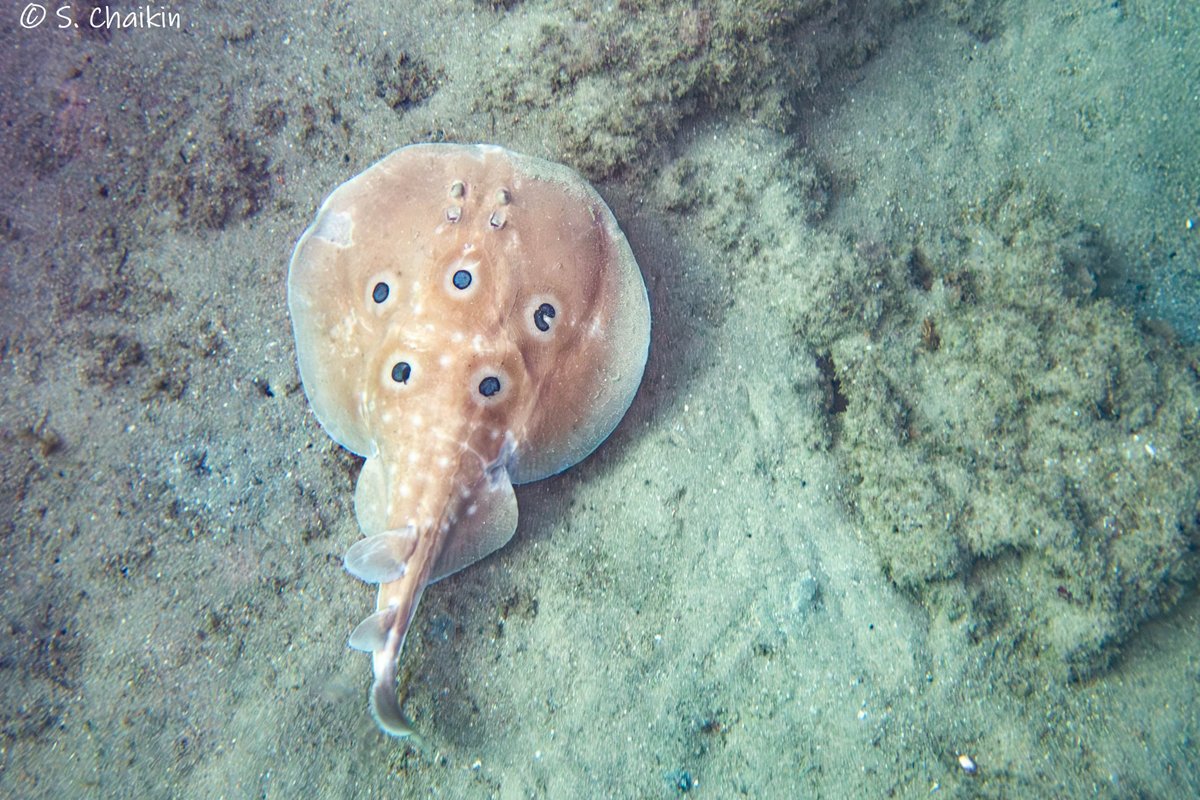 At least it remains silent underwater when people are mad on land