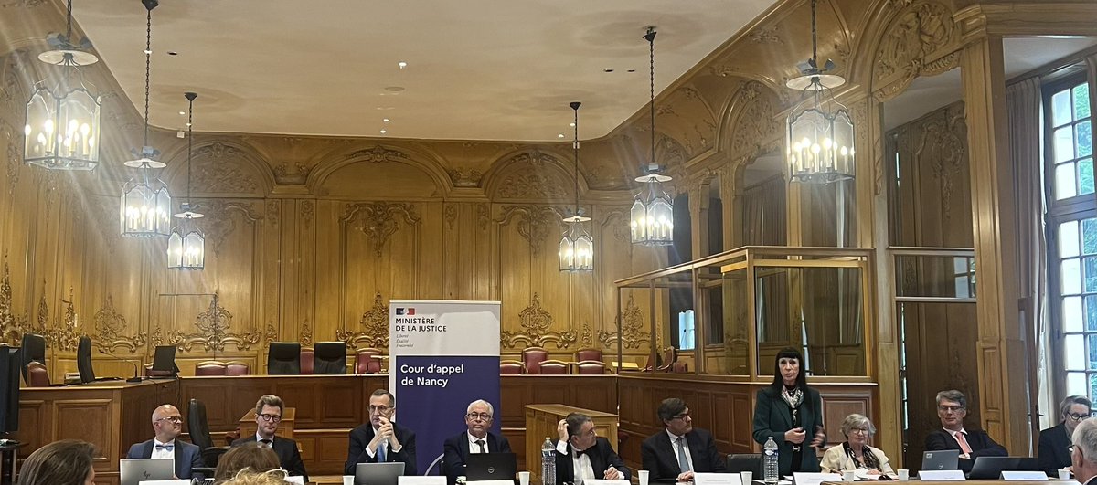 Le Barreau d’Epinal représenté par son Bâtonnier <a href="/Albe88000/">Alain BÉGEL</a> à la Cour d’Appel de Nancy qui accueille les « Ambassadeurs de l’amiable. » Intervention de Mme Natalie FRICERO, Pr agrégée des facultés de droit.