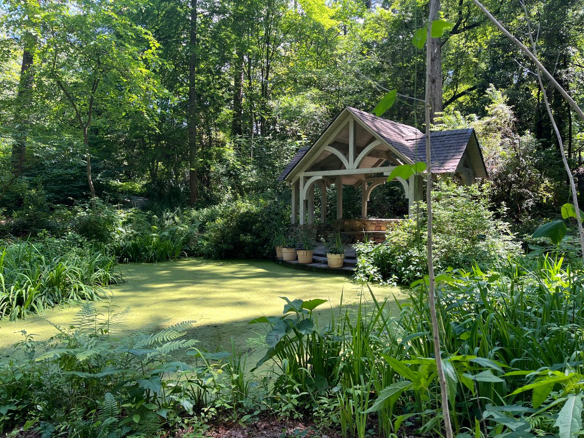 hannah anderson tweet media