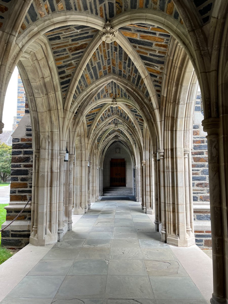 hannah anderson tweet media