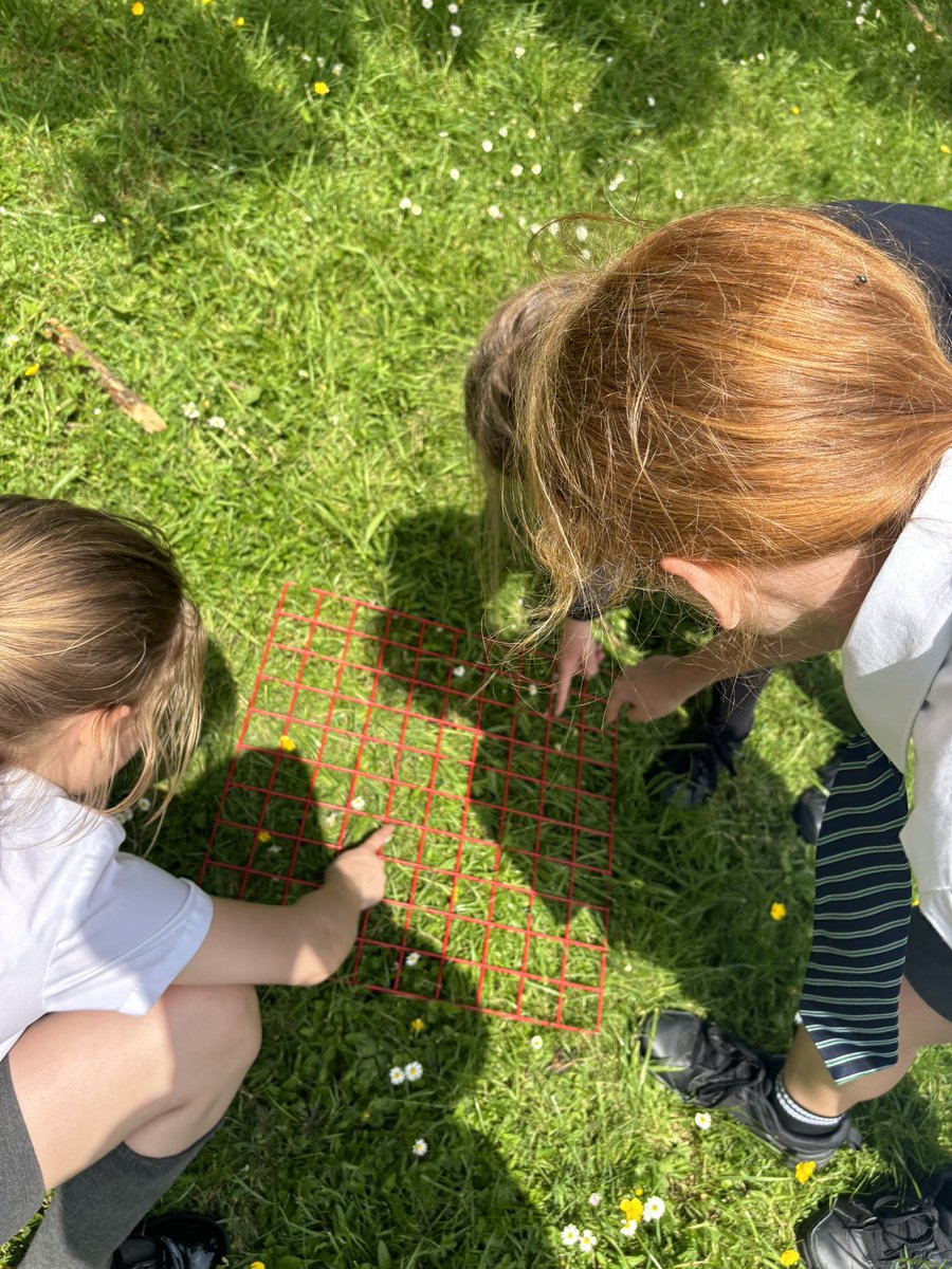 Megan Branniff tweet media