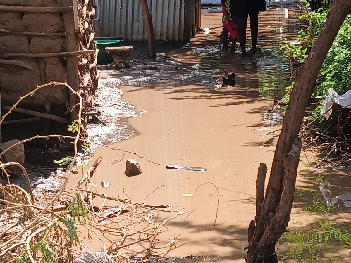 Government thro DRS @DRSKenya calls for joint coordination wth partners led by UNHCR @BurenCaroline for mitigation of the developing flooding situation in Kakuma Refugee Camp. Refugees displaced by heavy rains should move to safer grounds in Churches or schools @UNHCR_Kenya