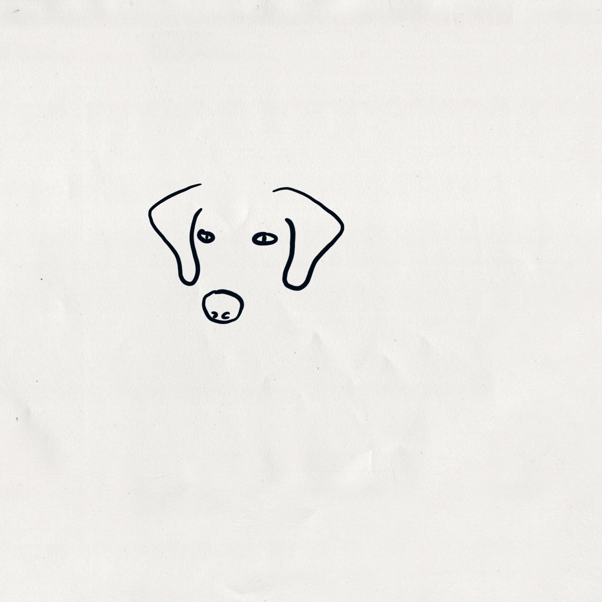_dogsdrawnbadly's tweet photo. I see no dog? https://t.co/amNq51QlNx