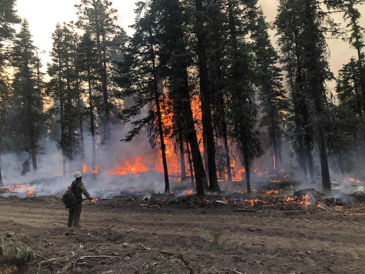 May is #WildfireAwarenessMonth. Common hazards on the fire line include burnovers/entrapments, heat-related illnesses and injuries, smoke inhalation, vehicle-related injuries, slips, trips, and falls, and more. Resources for wildland #firefighters: bit.ly/2WcDcEc