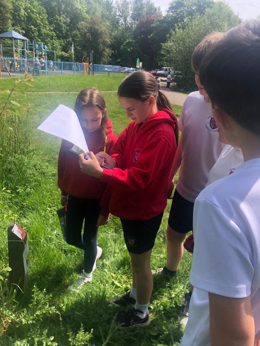 Newfold Sport tweet media