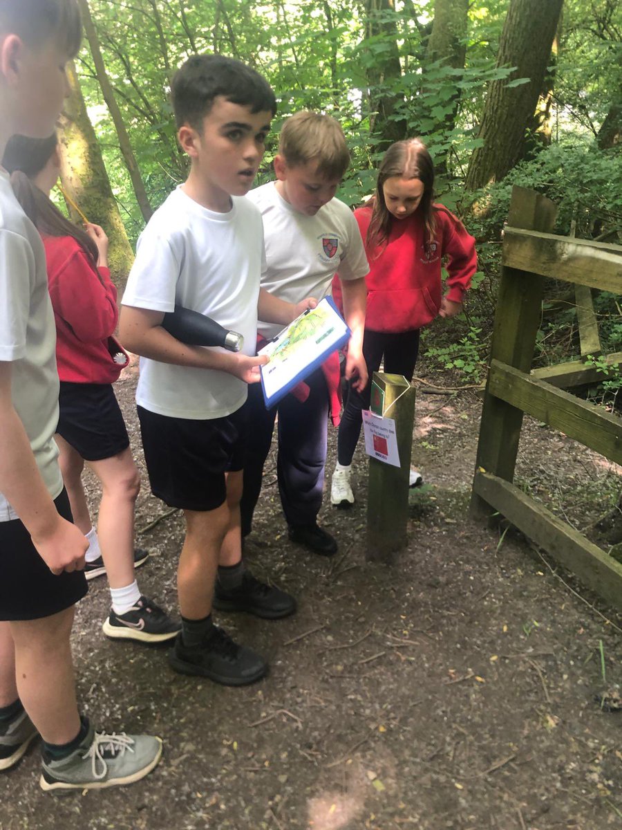 Newfold Sport tweet media