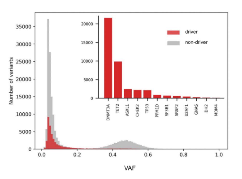 Identification of Clonal Hematopoiesis Driver Mutations through In Silico Saturation Mutagenesis @CD_AACR @SantiDemajo @abel_gonzalezp @nlbigas @bbglab @irbbarcelona @CIBERONC doi.org/10.1158/2159-8…