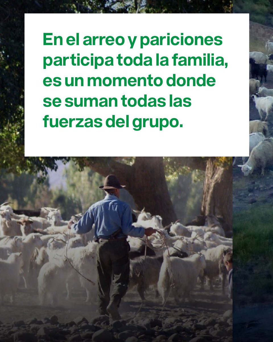 MNCI Somos Tierra - Via Campesina tweet media