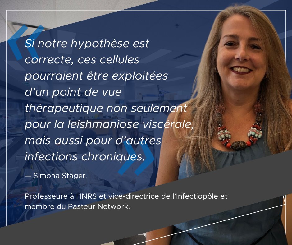 De l’espoir pour soigner la #leishmaniose viscérale, une maladie infectieuse souvent fatale Une #découverte de l’équipe de la professeure Simona Stäger apporterait une piste de solution pour le traitement de de la forme la plus grave de la leishmaniose👇 inrs.ca/actualites/de-…