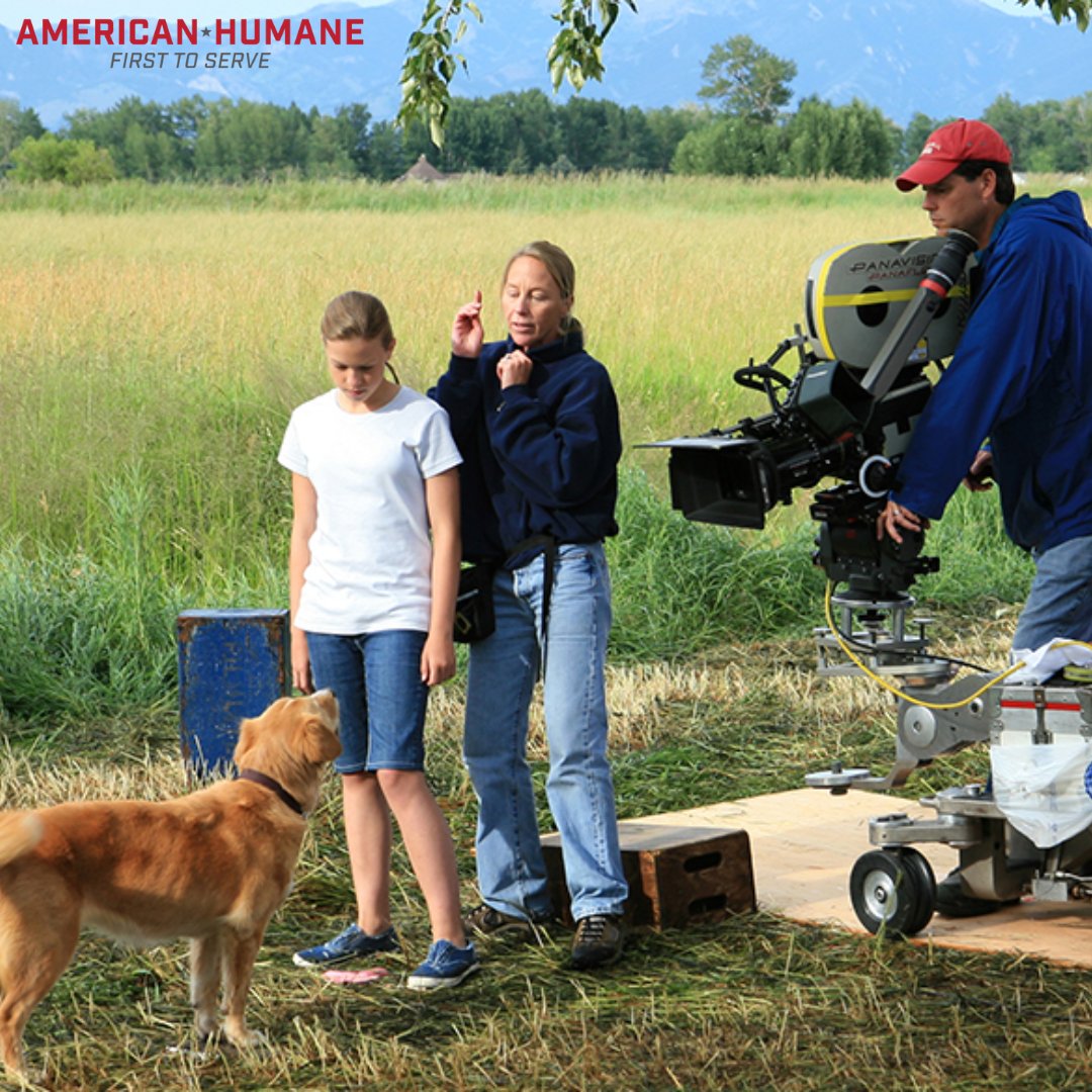 American Humane’s No Animals Were Harmed® program monitors animals in filmed media, evaluating treatment on a rigorous standard of care for animal actors. Click the link below to see the full list of certified films! bit.ly/3UYhSxZ