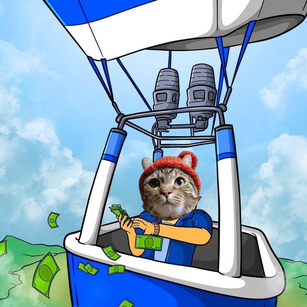 KittyWifHat tweet media