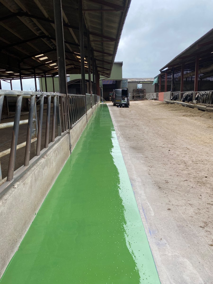Feed passage, renovated with our epoxy resin coating yesterday. From a rough unpalatable surface, to a hygienic, durable and  smooth finish in a matter of hours. Boosting intakes and limiting waste feed.