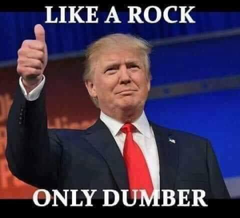 realDennisBarth's tweet photo. @SUBRATA30016572 #ConvictTrump https://t.co/W4Kt12D9XA