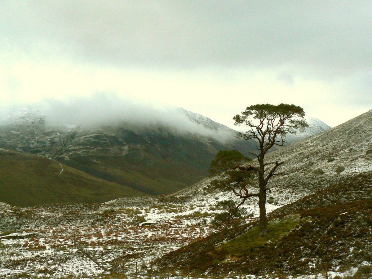 Join @socantscot for their 2024 Rhind Lectures (31 May - 2 June): Two ‘little’ ice ages and an anomaly: climate, environment and cultural change in medieval and early modern Scotland, presented by Professor Richard Oram. socantscot.org/event/rhind-le…