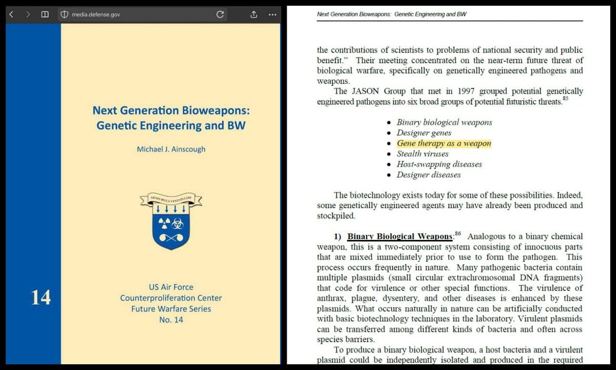 Gene Therapy as biological warfare On Jan 1, 2004, Michael J. Ainscough published 'Next Generation Bioweapons: Genetic Engineering and BW', for the USAF Counterproliferation Center, Maxwell Air Force Base, Alabama, US Air Force. He explained that gene therapy can be a bio