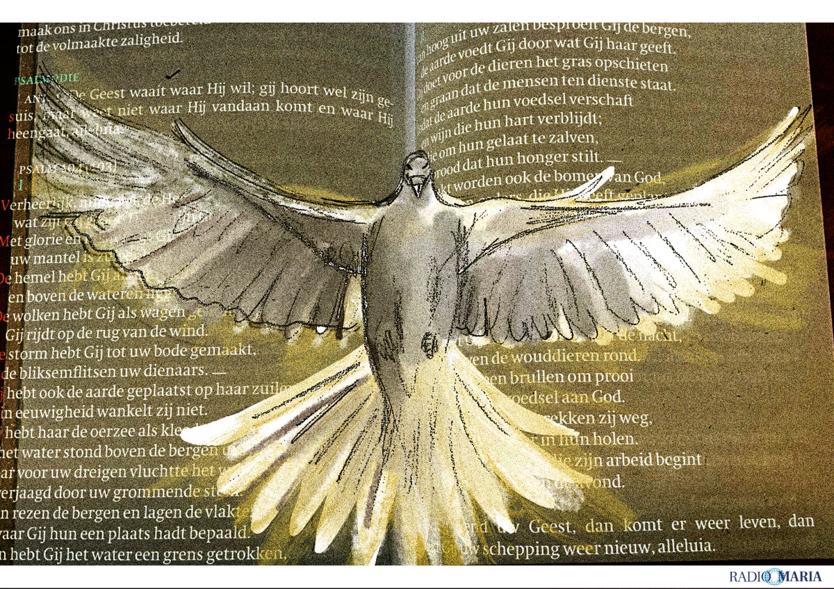 RadioMariaB's tweet image. Het was een gezegend Pinksterweekend bij Radio Maria.

Hier zijn nog enkele foto' s van de Eucharistieviering van Pinkstermaandag.