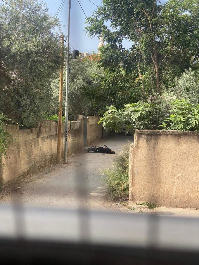 claudeelkhal's tweet image. Un petit garçon se balade en vélo près de chez lui. 

Quoi de plus banal? 

Sauf que chez lui c’est à Jénine en Cisjordanie occupée, où un sniper israélien a décidé de l’abattre, comme ça, gratuitement, juste parce qu’il est palestinien et qu’il se balade en vélo.