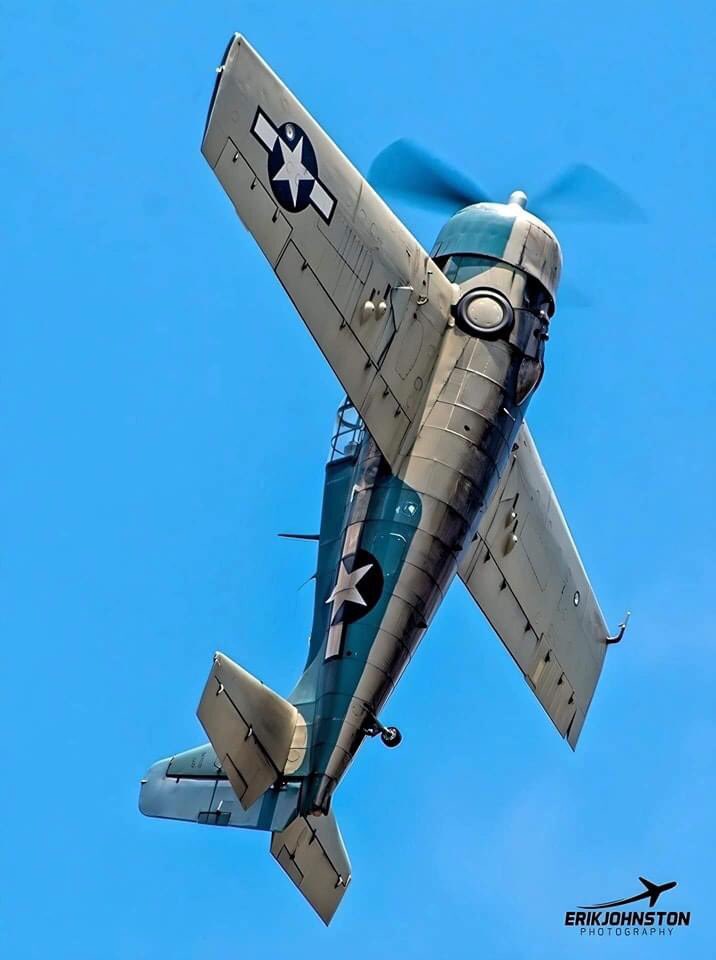 F4F Wildcat! (Photo- Erik Johnston)