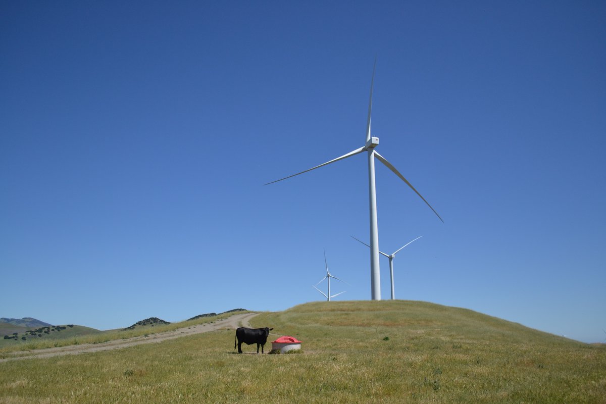 Earlier this month we toured Ava's Scott Haggerty Wind Energy Center, in Altamont Pass. Thanks to everyone who came out to see the turbines up close! (For context, each turbine tower stands 80 meters (~260 feet) tall, and each blade is 56 meters (~180 feet) long!)