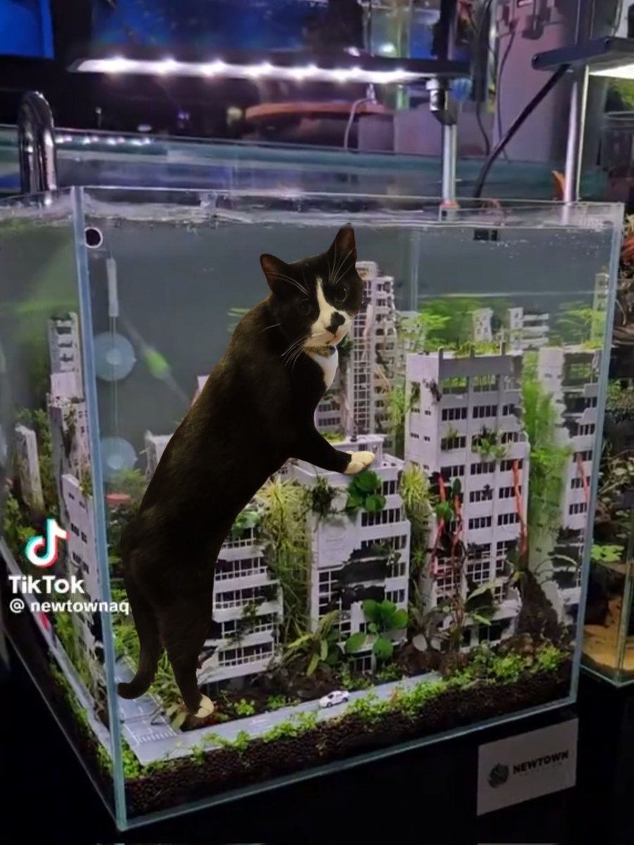 Gogzilla: Shirmps Citey,  comeng to Theator thise Fall . thise time he Eat the sitizens