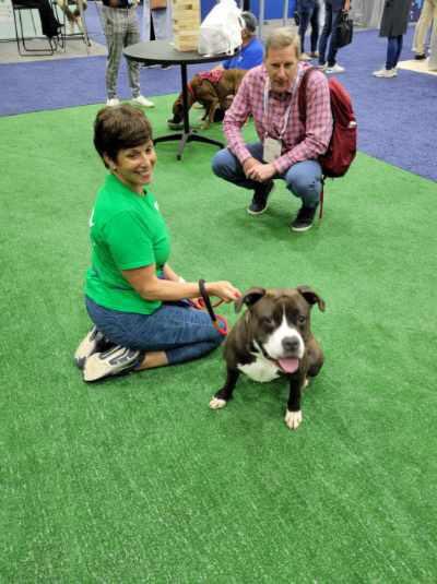 SPCACincinnati's tweet photo. More from our time spent w/our animal-loving friends at #WorldatWork today thanks to #BetterComp! They’re all about elevating employees thru education, community + more. We are thankful to join them at this year’s expo here in Cincinnati. Special thx to our incredible volunteers! https://t.co/DaLhbRa3Jb
