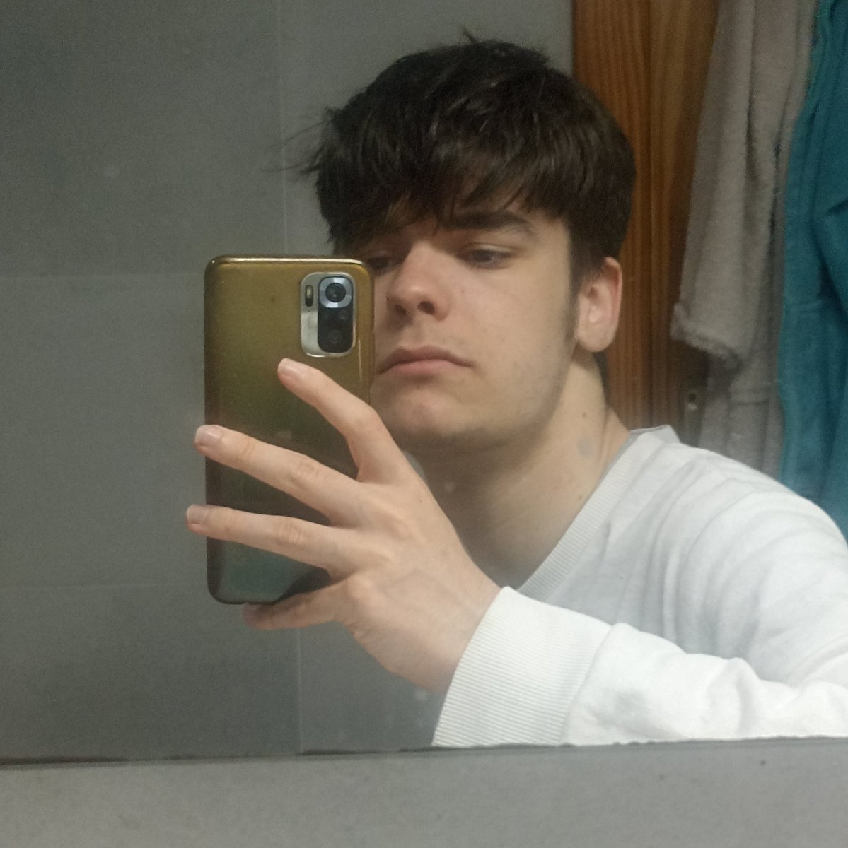 Pikmin de peluche tweet media