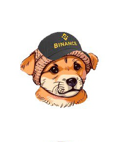 MiguelCrip29's tweet image. Don't miss today the VC that we will have in the #BABYWIF community. I invite you to join us on this incredible journey that awaits us!  19:00 UTC 21:00 EU We are waiting for you! @babywifmeme