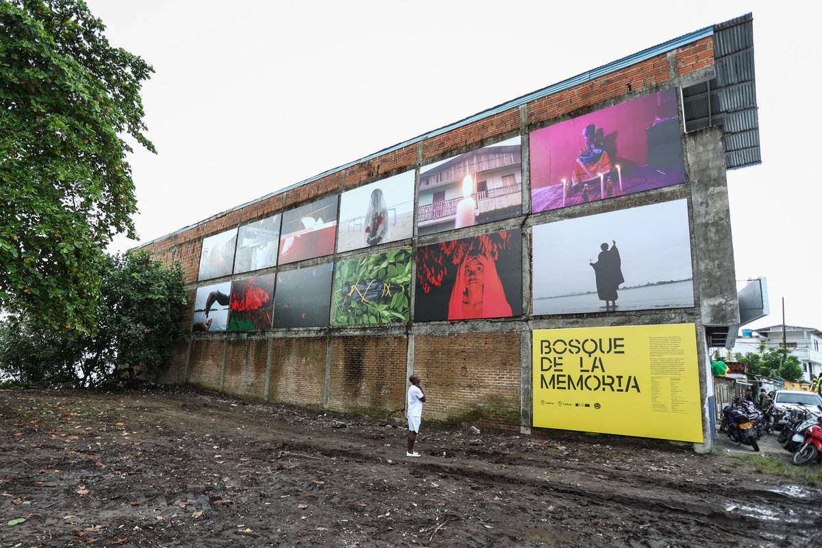 Esta es la exposición Bosque de la Memoria, con 12 fotos de jóvenes asistentes a los talleres que organizamos con <a href="/minjusticiaco/">MinJusticia Colombia</a> en Tumaco. Las imágenes hablan sobre el impacto de la coca en el territorio, de mitos ancestrales y de la memoria.
#PactoCulturalPorLaVidaYPorLaPaz