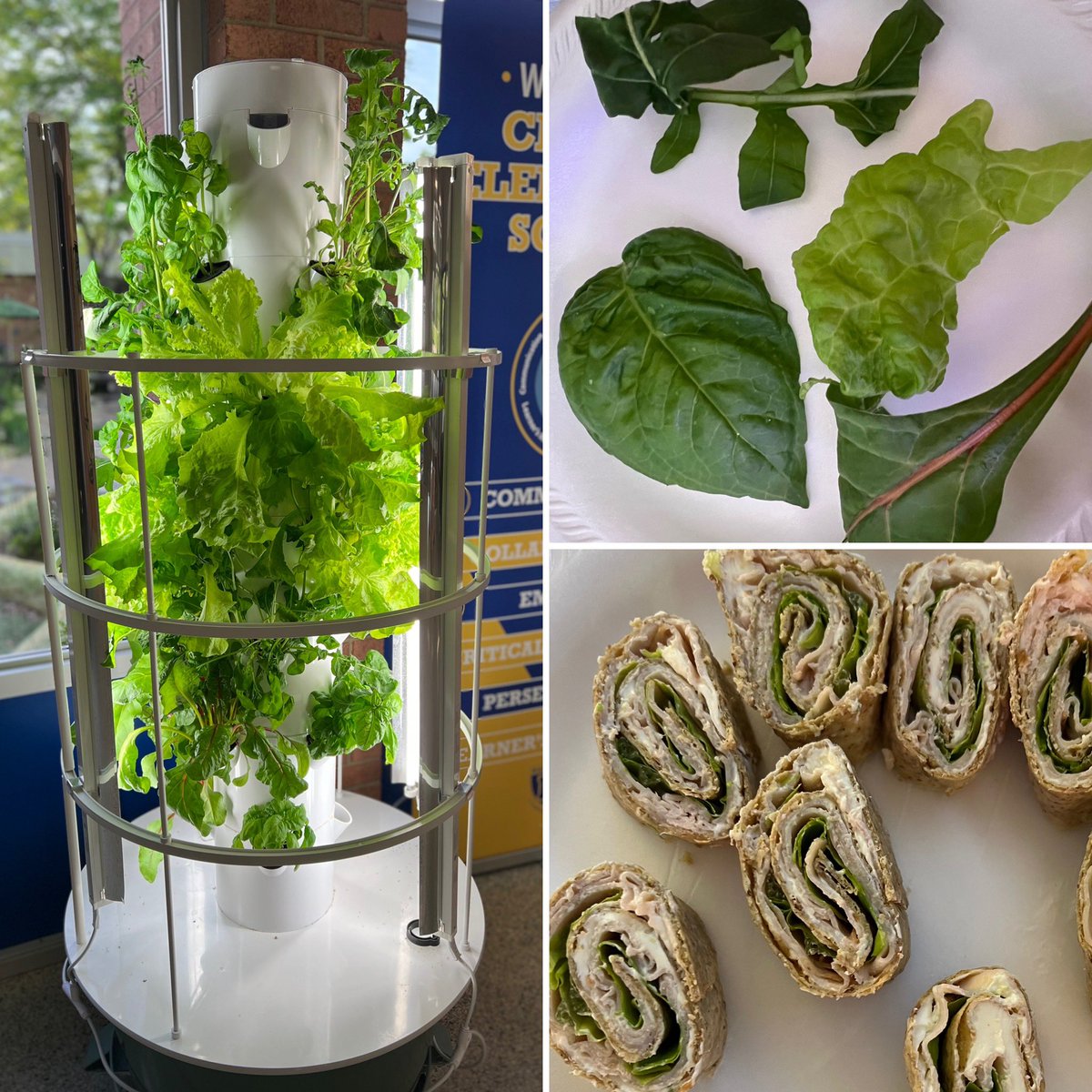 Shanna Struble tweet media