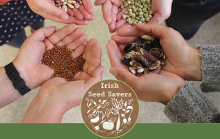 As National Biodiversity Week continues we have a story about seeds & ensuring the survival of all kinds of plants through the work of @IrishSeedSavers in County Clare on #RTENationwide Wednesday 22nd May @RTEOne 7pm @farmfornature @pippa_hackett @McConalogue @ClareHour @ClareFM